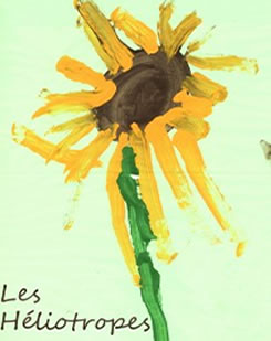 prjpic-245_309-heliotropes-001